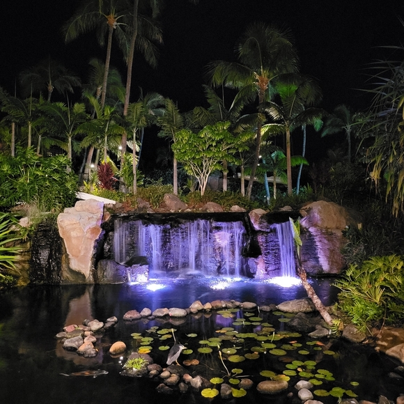 Meet your Posher, Michelle - Picture 4 of 8